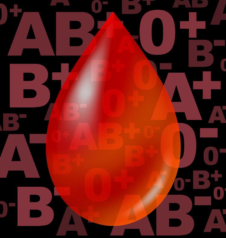 a型血为什么叫贵族血（A型血的优点和缺点）